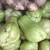 Chayote and Ginger Chayote and Ginger