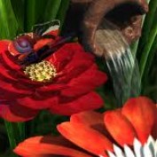 jaswinder64 profile image