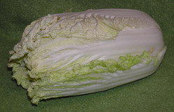 Chinese Napa Cabbage