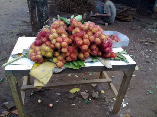 Bekasi produces kinds of fruits including Rambutans (Nephelium lappeceum).