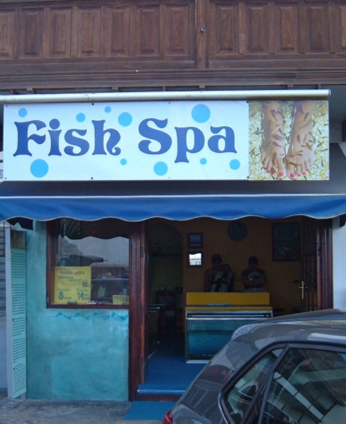 Fish Spa. Photo by Steve Andrews