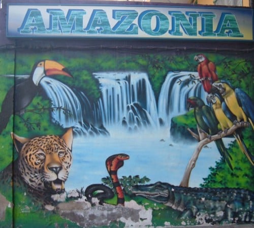 Amazonia Jungle Animals artwork in Alcala, Tenerife. Photo by Steve Andrews