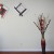 I used the left over from the flowers to create some art works that go with the flowers. I focused on the colors and the flowers that are more appealing to me. I used the left over from the flowers to create some art works that go with the flowers. I focused on the colors and the flowers that are more appealing to me.