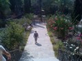 Beautiful Botanical Gardens