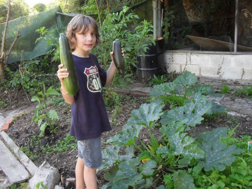 Gardening with children, letting them grow their own fruits and vegetables, will increase the chance that they eat the fruits and vegetables that they have harvested.  