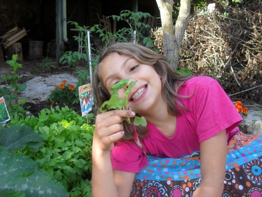 Gardening with children, The happiness of harvesting her first radish