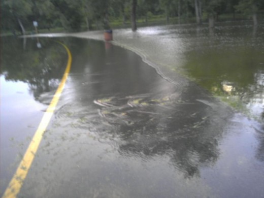 Flood waters washing over a roadway frequently move along with a current that could easily wash a car away. 
