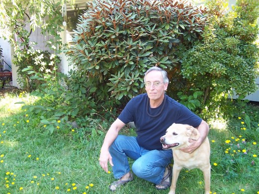 The author asking his dog for a good article idea.