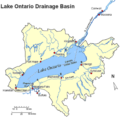 Lake Ontario, the 14th largest lake in the world, is the smallest of the Great Lakes in surface area. 