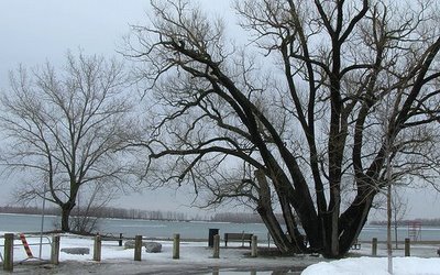 Despite the frigid temperatures last week, this was an awesome if not desolate spot on Toronto's Cherry Beach. Toronto sits on Lake Ontario and has an extensive waterfront. Only thing is, it's neither visable nor accessable to most of Toronto's resid