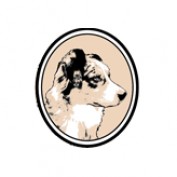 samgong profile image