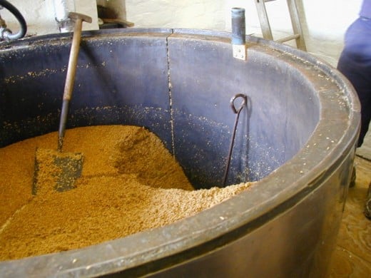 Mash tun with spent grain in it. Source: Chris Gunns, wikimedia commons, CC BY 2.0.
