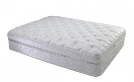 Ortho Mattress is the top mattress to combat your back pain