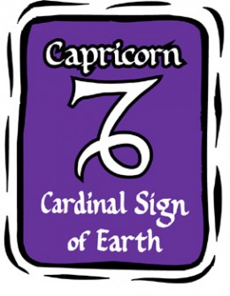 element sign of capricorn