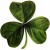 Shamrock