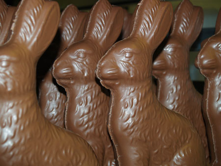 Fran's Chocolate Bunnnies