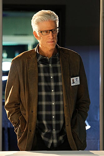 Danson searches for evidence on "CSI."