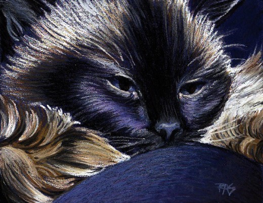 Ari On My Knee - oil pastel on sanded pastel card by Robert A. Sloan