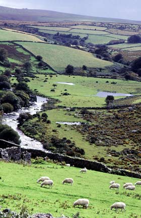 The photograph related to question #4 is courtesy of www.dartmoor-farm-accommodation.co.uk.