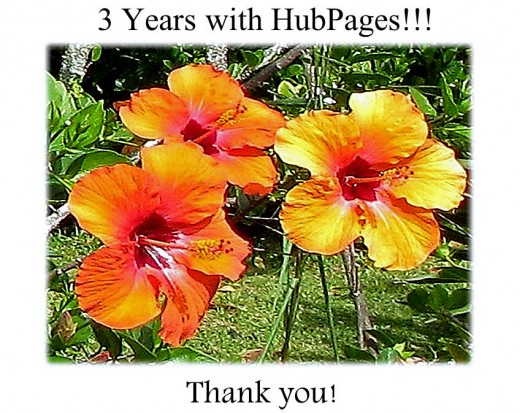 3 Yellow Hibiscus-from our garden