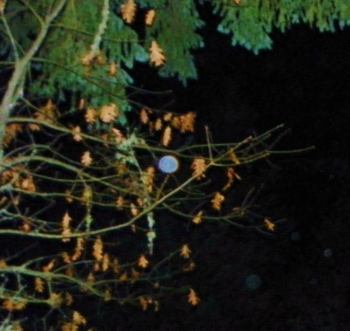 In this digital photo, I captured an Orb image projected by a passed brother; in the answer to a question. This photo has not been modified.