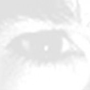 bricester profile image