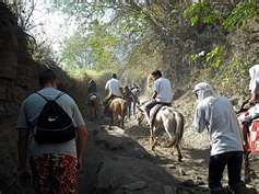 trekking by foot or horseback riding up the Taal Crater
