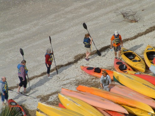 Group of tourists learning basic kayaking skills before going on a group tour of the Calibogue Sound.