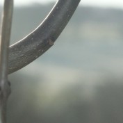 vinster1 profile image