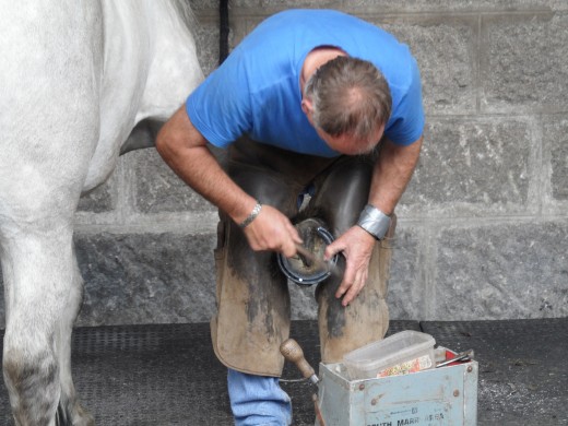 A farrier shoeing one of the horses on the Queen's estate.