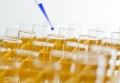 The Scientific Method in Everyday Life Sample Paper