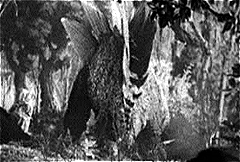 Stegosaurus as depicted in King Kong