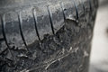 Wires may protrude from any point in the tread, depending on wear.