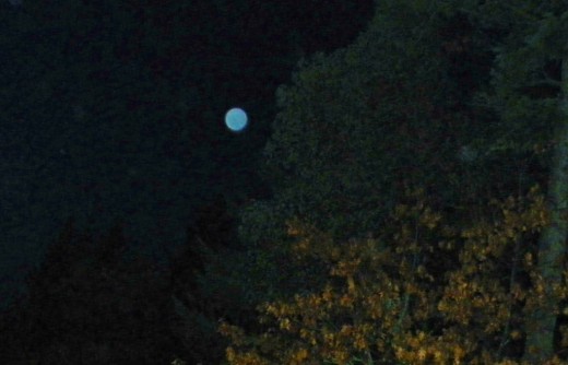 Brother says hello. It's been sayed that blue Orbs may be projected by  a Guardian Angel... 