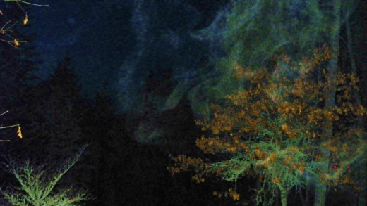 Your guess is as good as mine. This was shot on a cold clear  January evening.