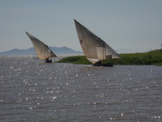 Landing fish at Dunga Point