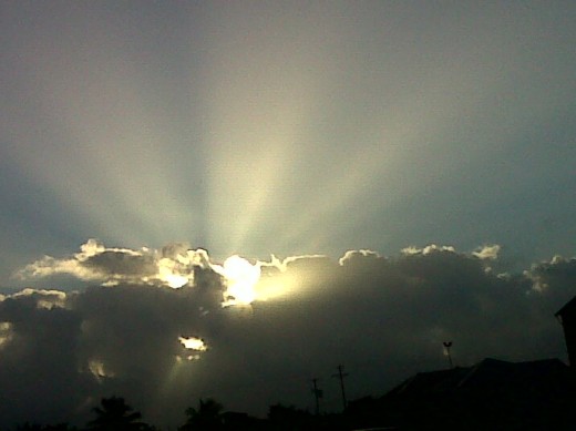 "Rays of Sunshine"  snapped this morning 24/2/2012