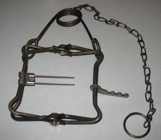 A Conibear trap, normally used to entrap and kill small to medium sized game animals.