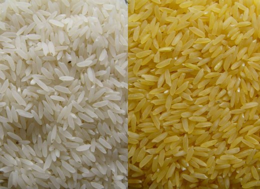 Source: www.goldenrice.org