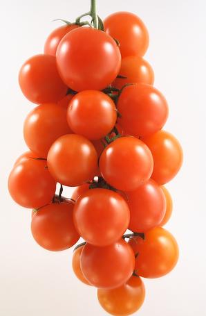 Source: www.flickr.com 