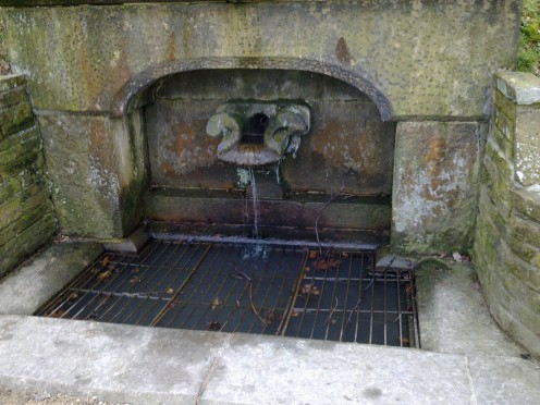 Old stone drinking trough