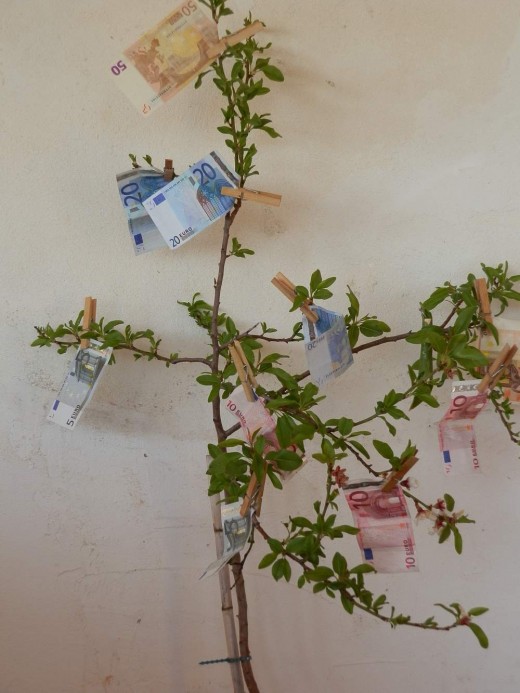 a fruiting money tree (pegs are used to prevent the notes from being carried away in the wind)
