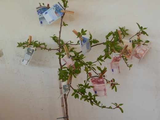 money tree