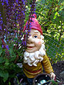 Just a Garden Gnome...nothing to See here...