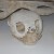Loggerhead turtle skull.