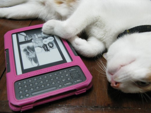 Reading manga on my Kindle with my cat. :)