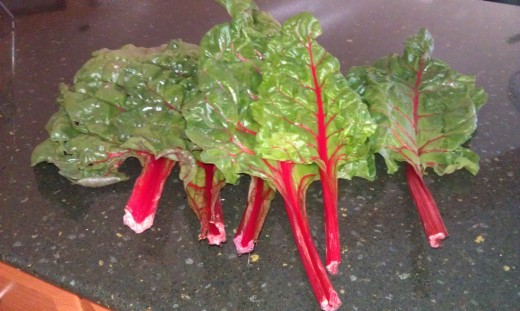 I like to wash my kale or as in this picture my swiss chard when I get home from the grocery. It will save time when you are cooking.