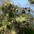 So many bird nests! So many bird nests!