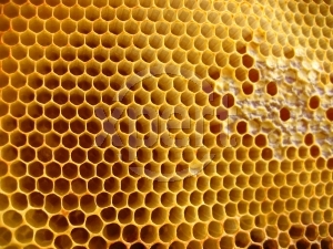 Honeycomb contains all of the nutritional value of raw honey