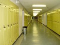 School Violence: A Disturbing Epidemic